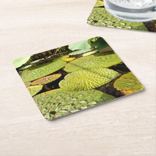 スイレンの浮いている葉のペーパーコースター スクエアペーパーコースター (アングル)