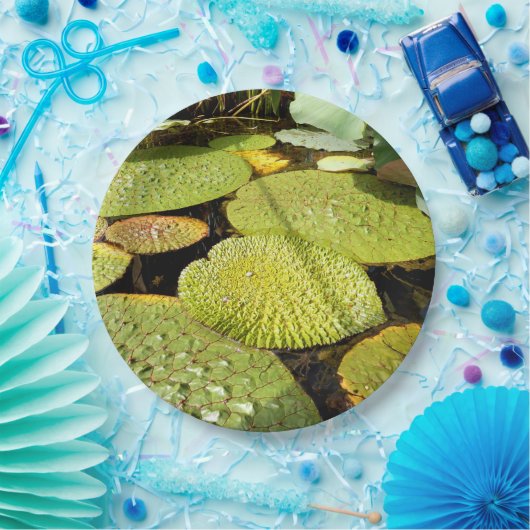 スイレンの浮いている葉の紙皿 ペーパープレート (パーティー)