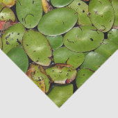 スイレンの浮いている葉 薄葉紙 (詳細)