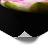 スイレンの花 ポスター (角)