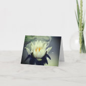 スイレンハス花ノートカード カード (正面)