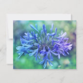 スイレンフカザ 招待状 (裏面)