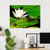 スイレン反射付きカエル ポスター (ホームオフィス)