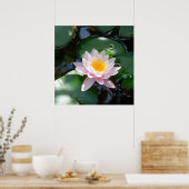 スイレン広場ポスター ポスター (キッチン)