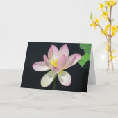 スイレン挨拶card2 カード (黄色い花)