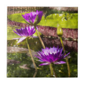 スイレン池 タイル (正面)