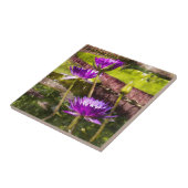 スイレン池 タイル (側面)