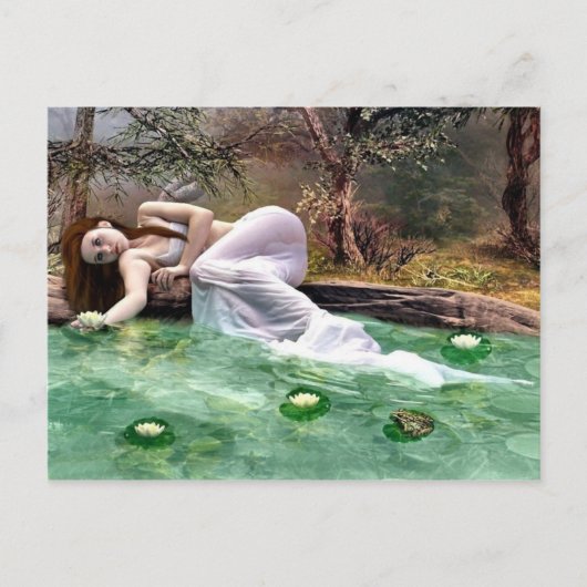 スイレン美しい ポストカード (正面)