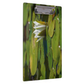 スイレン花 クリップボード (右)