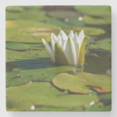 スイレン花 ストーンコースター (正面)