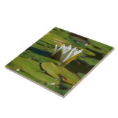 スイレン花 タイル (側面)