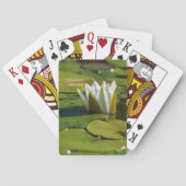 スイレン花 トランプ (裏面)