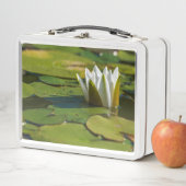 スイレン花 メタルランチボックス (インサイチュ)