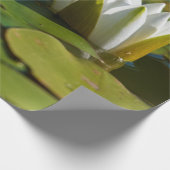 スイレン花 ラッピングペーパー (角)