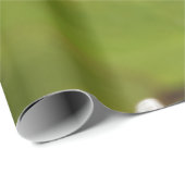 スイレン花 ラッピングペーパー (ロールコーナー)