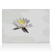 スイレン (内部横(上))