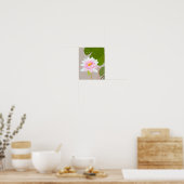 スイレン01 ポスター (キッチン)