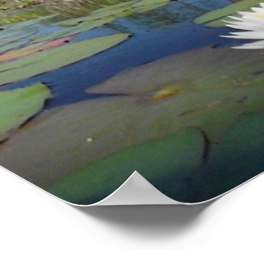 スイレン2 ポスター (角)