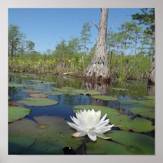 スイレン2 ポスター (正面)