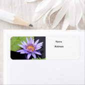 スイレン2 ラベル (インサイチュ)