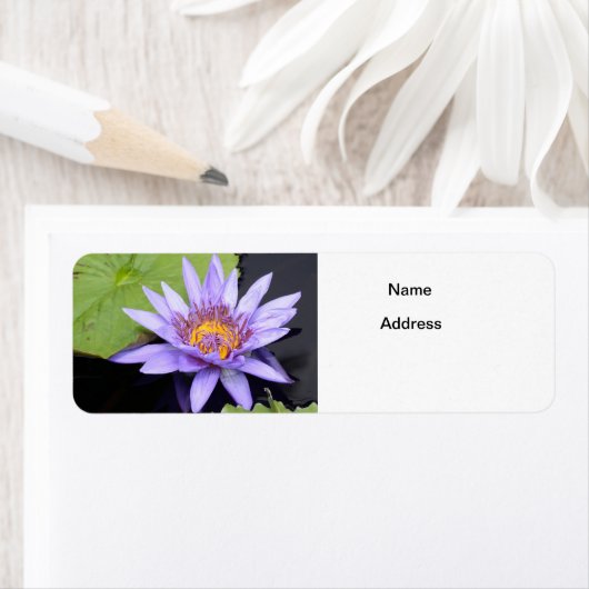 スイレン2 ラベル (インサイチュ)