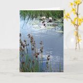 「スイレン」の悔やみや弔慰カード カード (黄色い花)