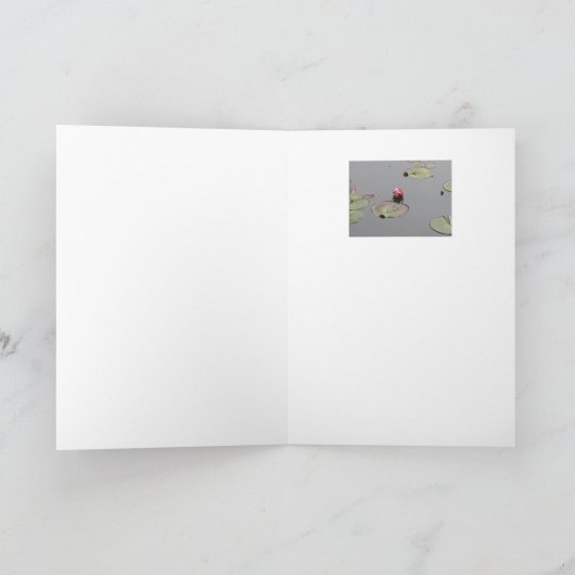 スイレン カード (内部)