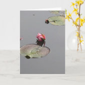 スイレン カード (黄色い花)