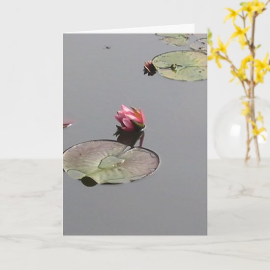 スイレン カード (黄色い花)