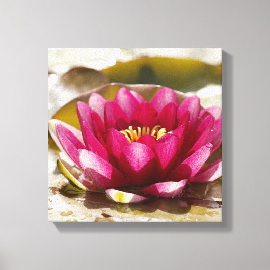 スイレン キャンバスプリント (正面)