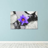 スイレン キャンバスプリント (インサイチュ (ウッドフロア))