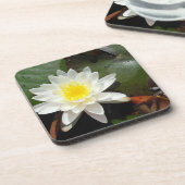 スイレン コースター (左側)