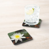 スイレン コースター (右側)