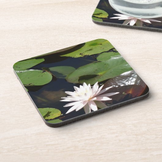スイレン コースター (左側)