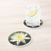 スイレン コースター (側面)