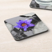 スイレン コースター (左側)