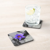 スイレン コースター (右側)