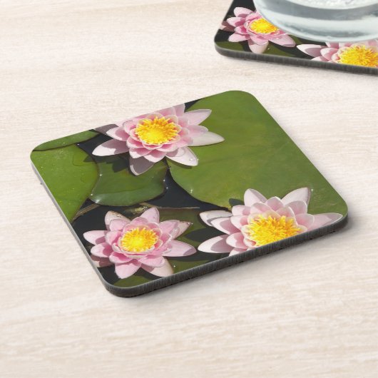 スイレン コースター (左側)