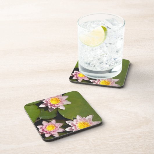 スイレン コースター (右側)