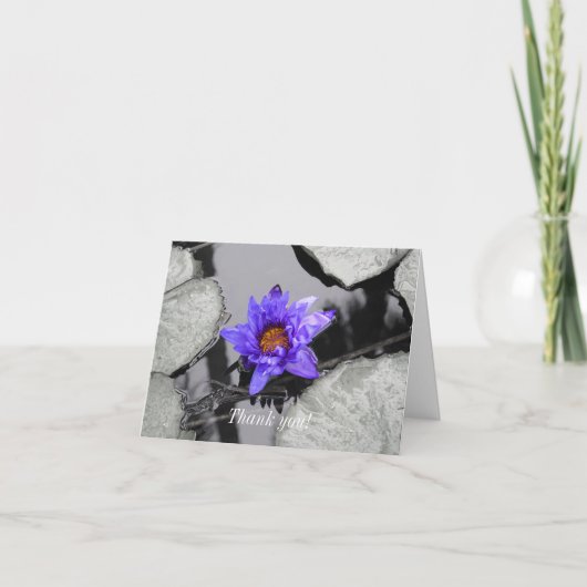 スイレン サンキューカード (正面)