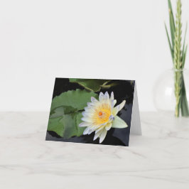 スイレン サンキューカード