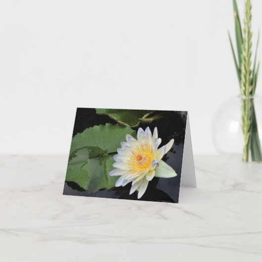 スイレン サンキューカード (正面)