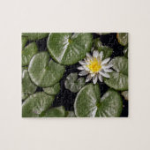 スイレン ジグソーパズル (横)