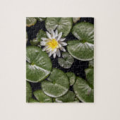 スイレン ジグソーパズル (縦)