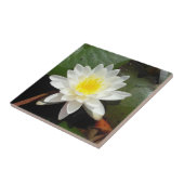 スイレン タイル (側面)