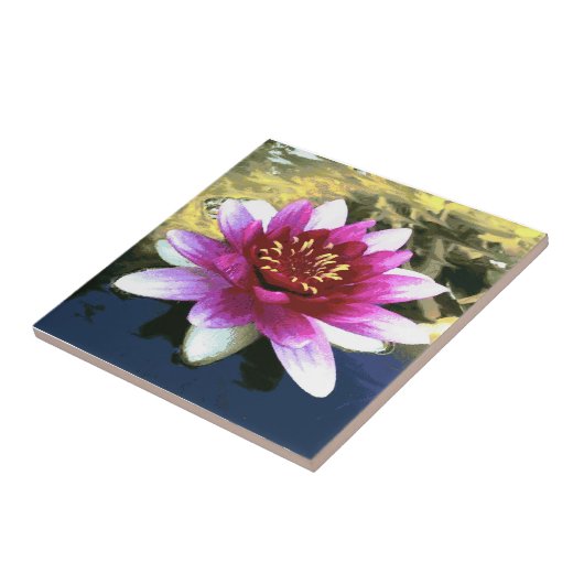 スイレン タイル (側面)