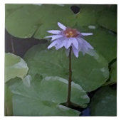 スイレン タイル (正面)