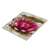 スイレン タイル (側面)