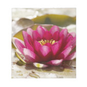 スイレン ノートパッド (正面)