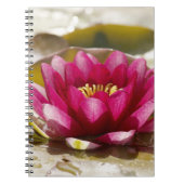 スイレン ノートブック (正面)